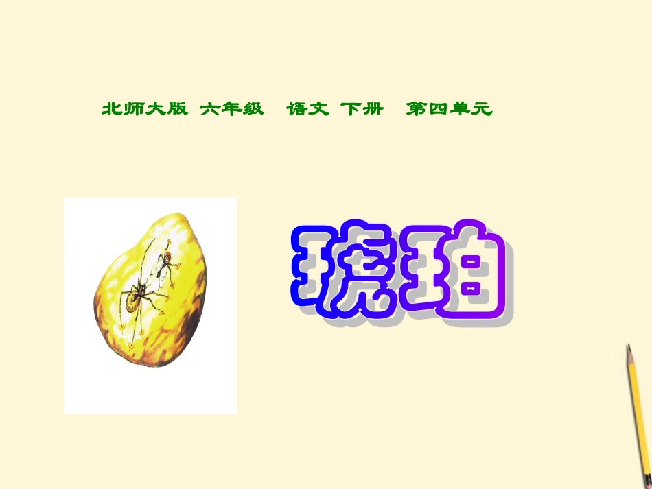 六年级语文下册-琥珀2课件-北师大版_第1页