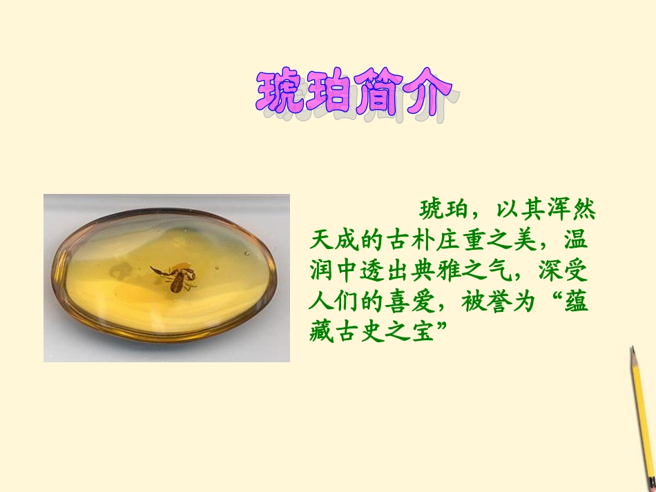 六年级语文下册-琥珀2课件-北师大版_第2页