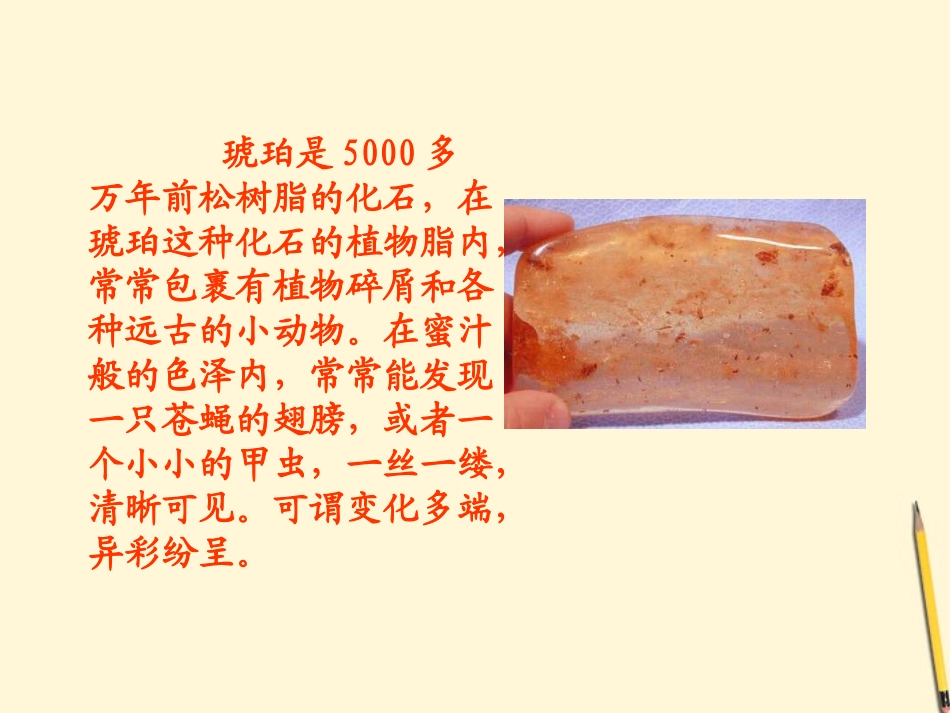 六年级语文下册-琥珀2课件-北师大版_第3页