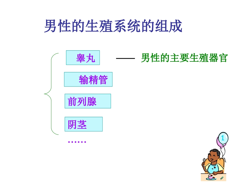 精卵结合孕育新的生命_第3页