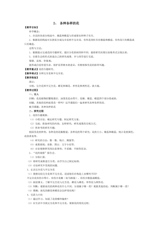 各种各样的花
