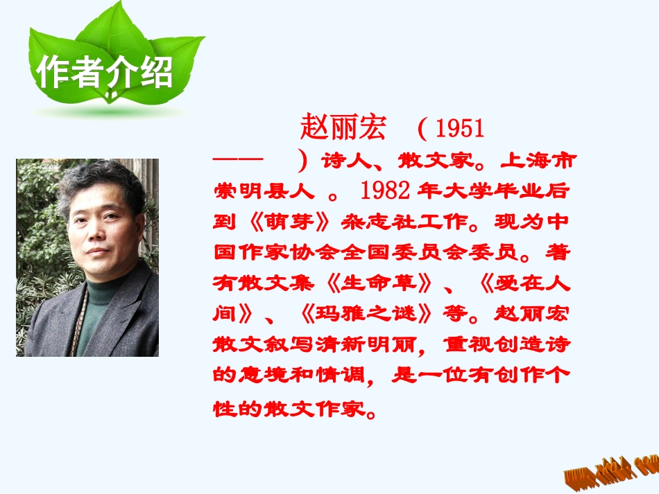 六年级下册第四课顶碗少年_第3页