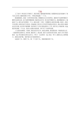 高一语文-丫头作文素材