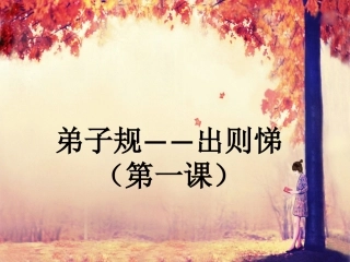 弟子规出则悌第一课