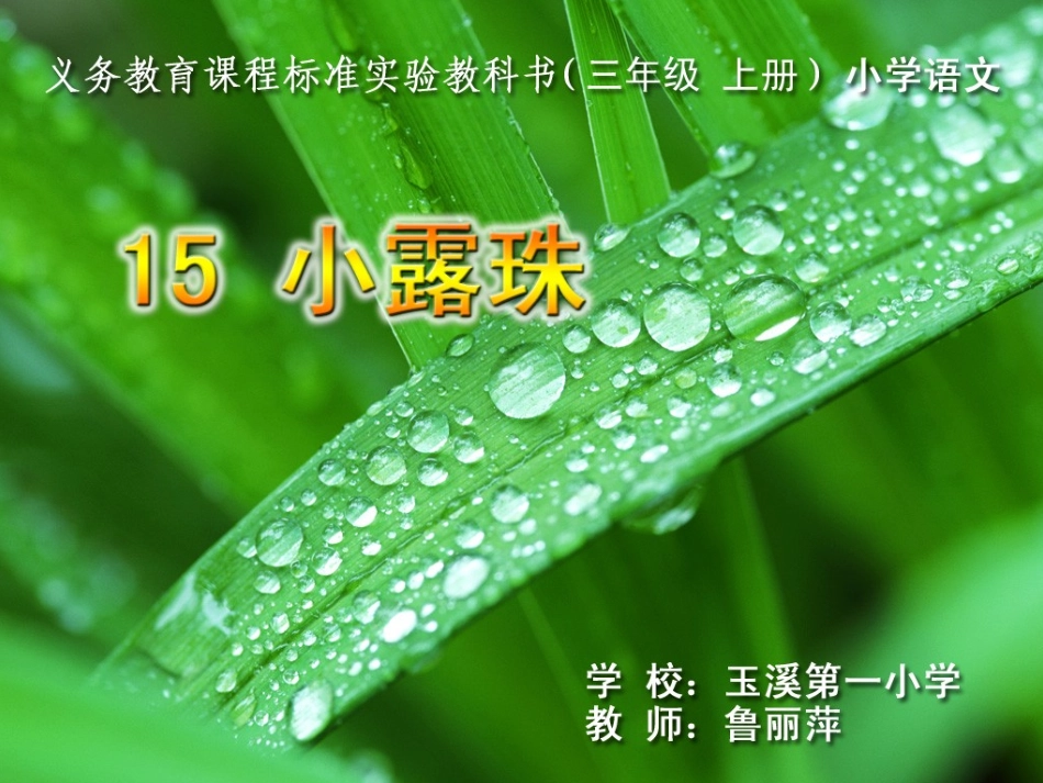 课件《小露珠》_第1页