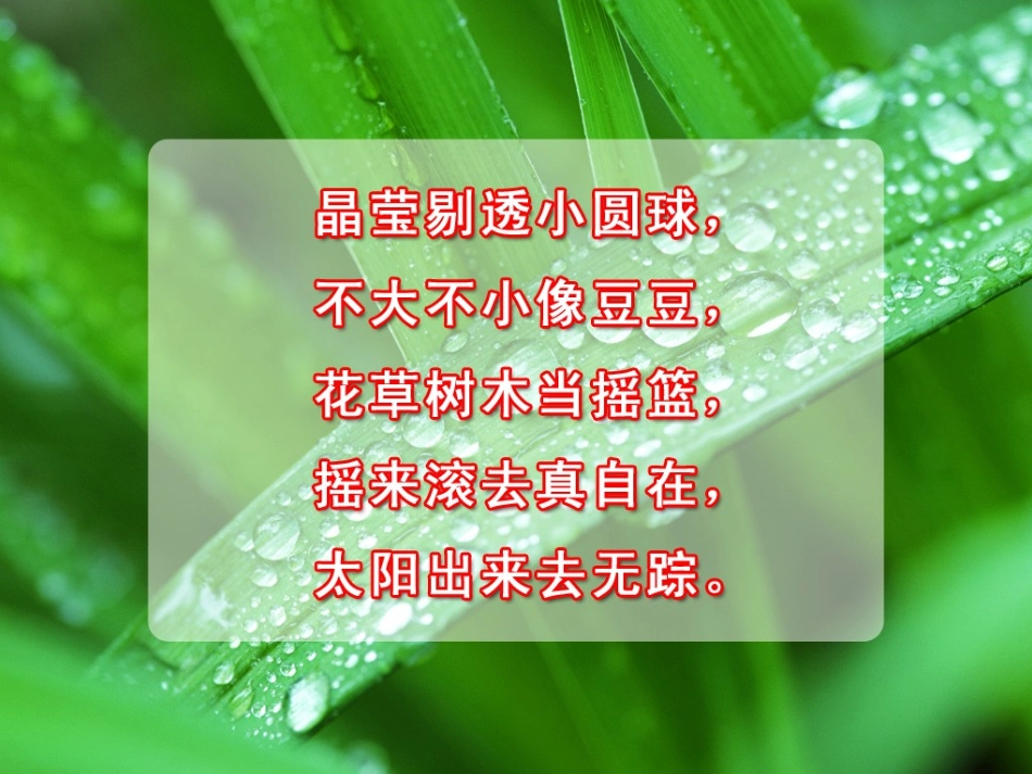 课件《小露珠》_第2页