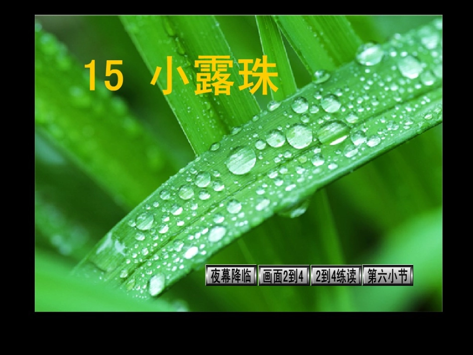 课件《小露珠》_第3页
