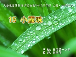 课件《小露珠》