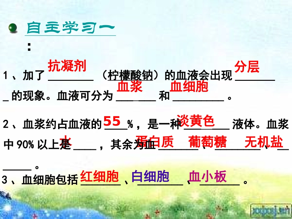 血液的组成和功能_第3页