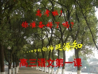 高三语文第一课