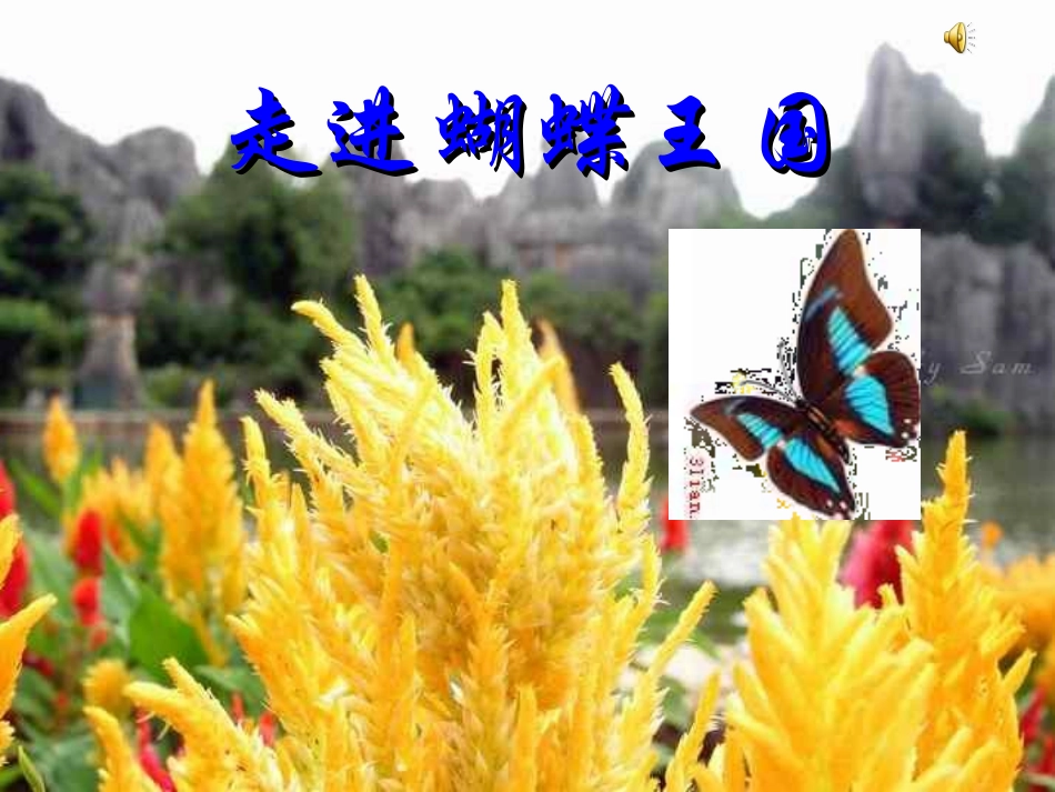 蝴蝶落我家鲍颖_第2页