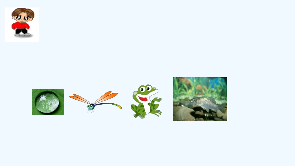 (部编)人教语文2011课标版一年级下册《荷叶圆圆》第二课时_第3页