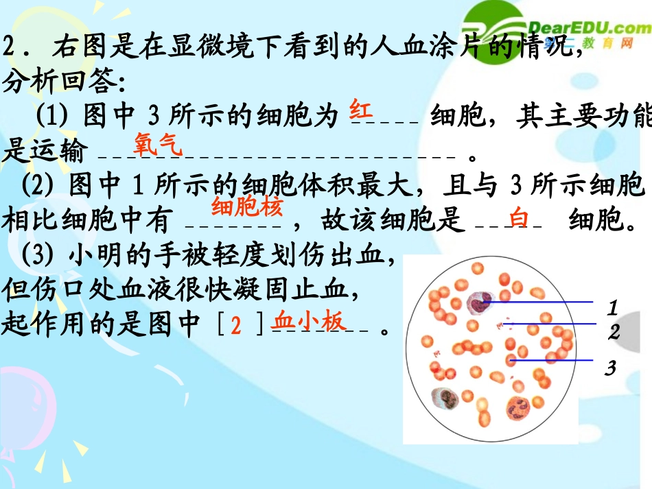 人体内废物的排出 (2)_第2页
