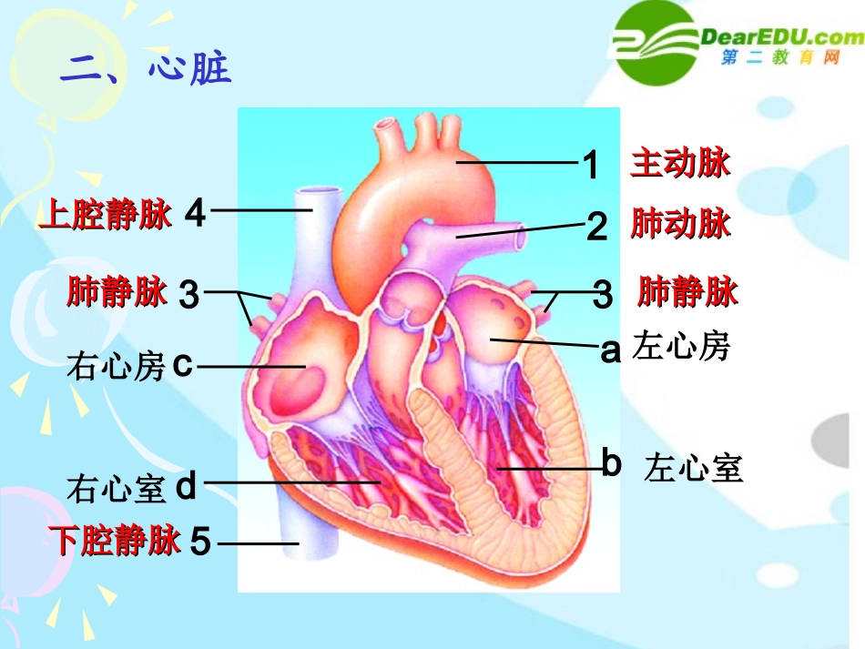 人体内废物的排出 (2)_第3页