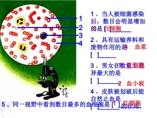 人体内废物的排出 (2)