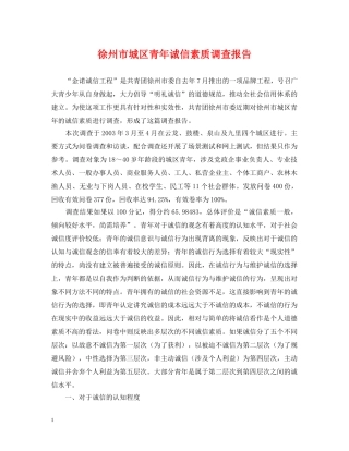 徐州市城区青年诚信素质调查报告 