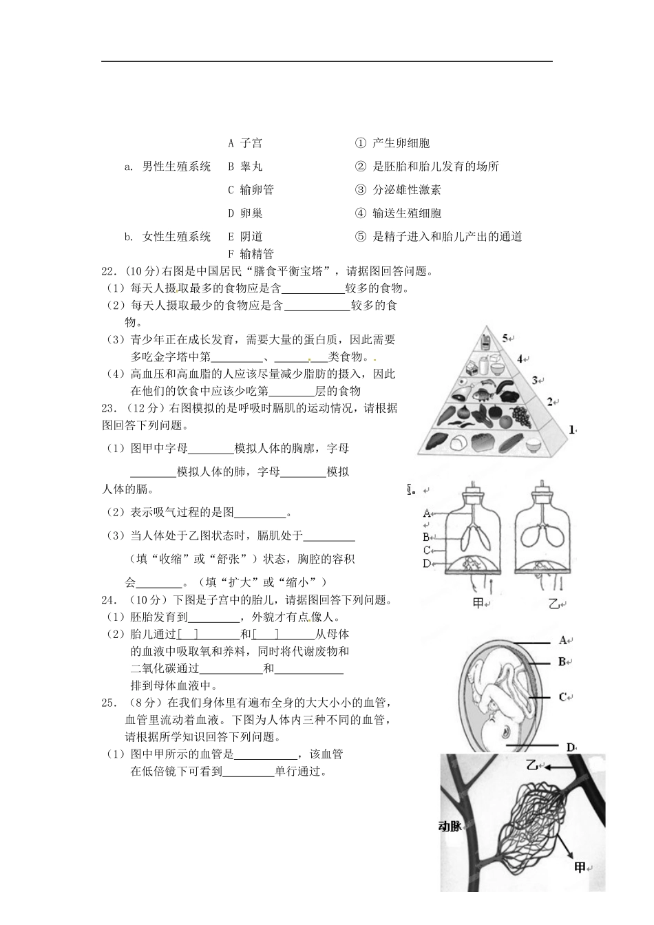 海南省海口市2012-2013学年七年级生物下学期期中检测试题(B)-新人教版_第3页