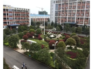 作文：中心花坛