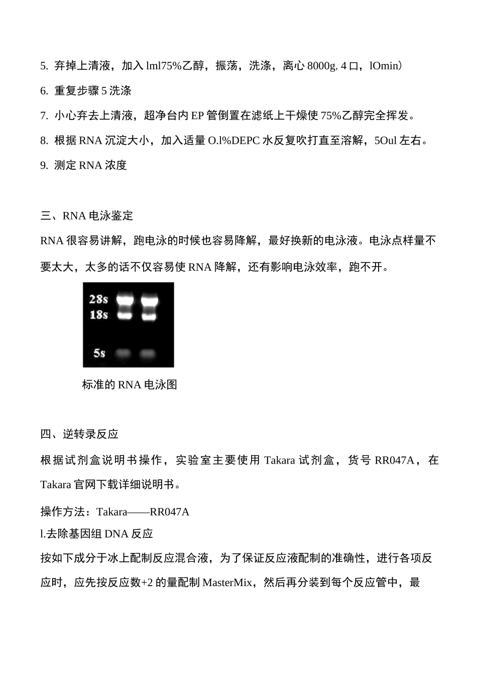 荧光定量实验全流程_第2页
