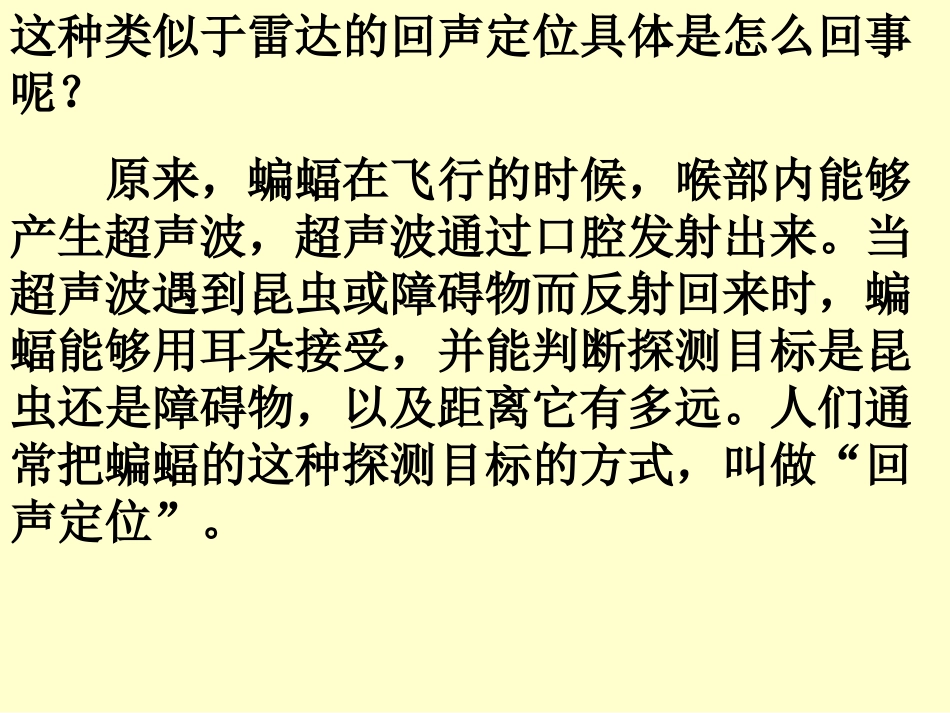 《蝙蝠和雷达》教学课件_第3页
