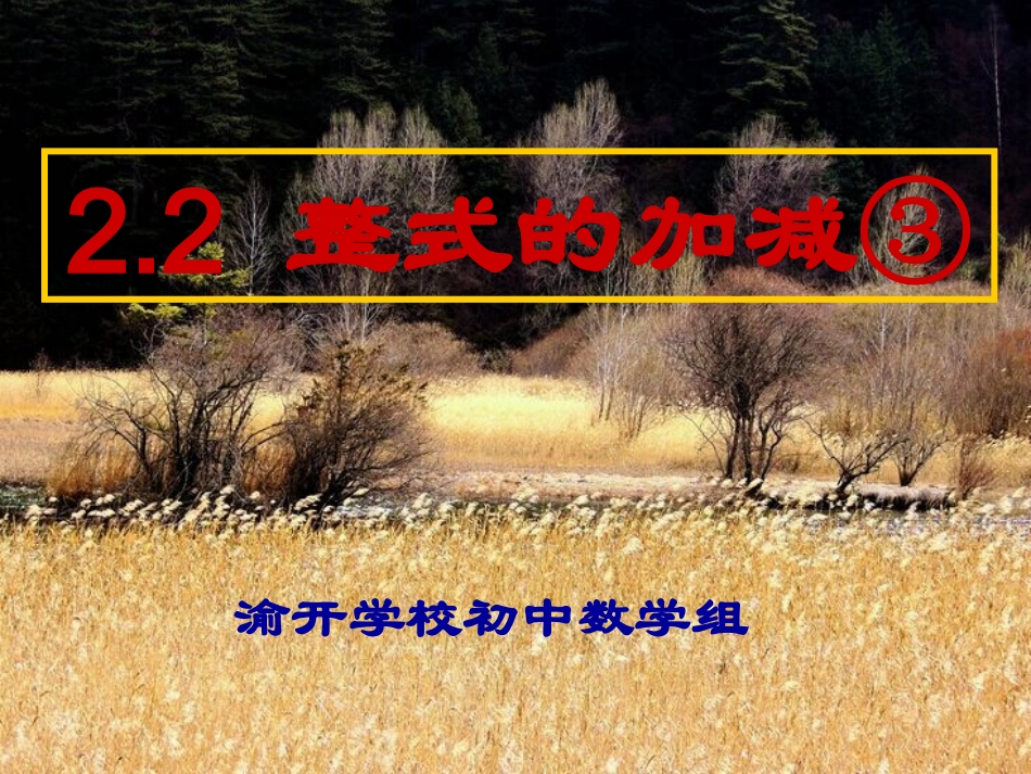 整式的加减(5)_第1页