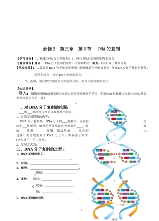 必修2第三章第3节DNA的复制