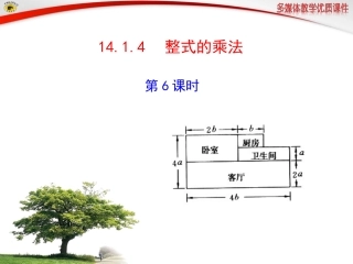 14.1.4整式的乘法第6课时课件