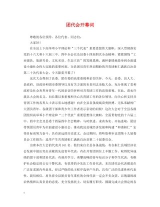 团代会开幕词 