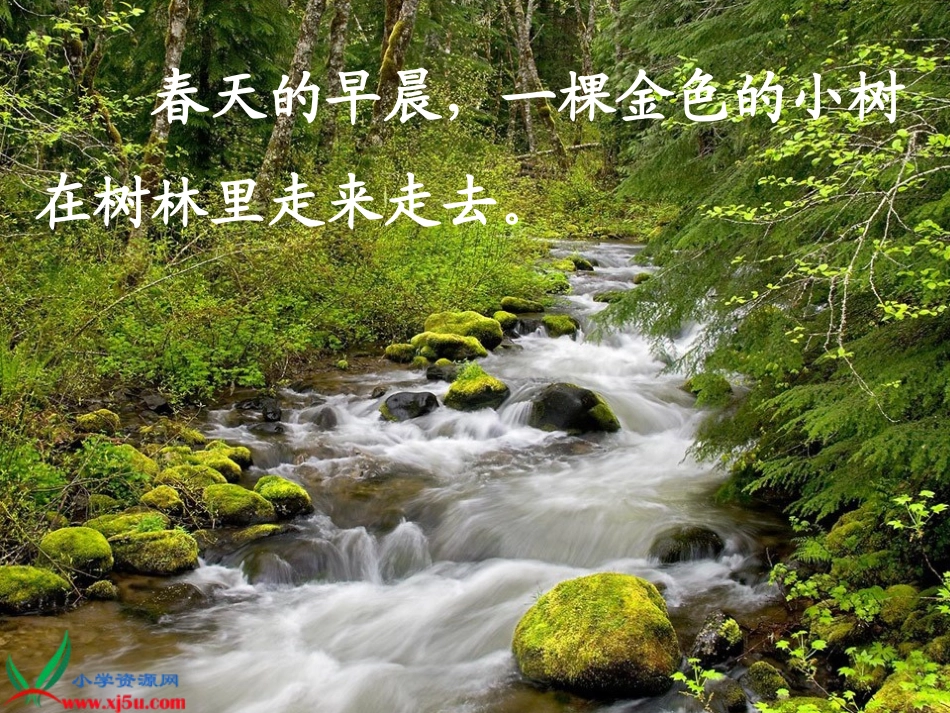 苏教版二年级语文下册《会走路的树5》PPT课件_第3页