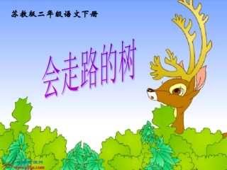 苏教版二年级语文下册《会走路的树5》PPT课件
