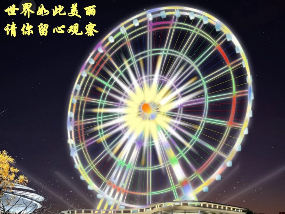 图形的旋转4_第2页