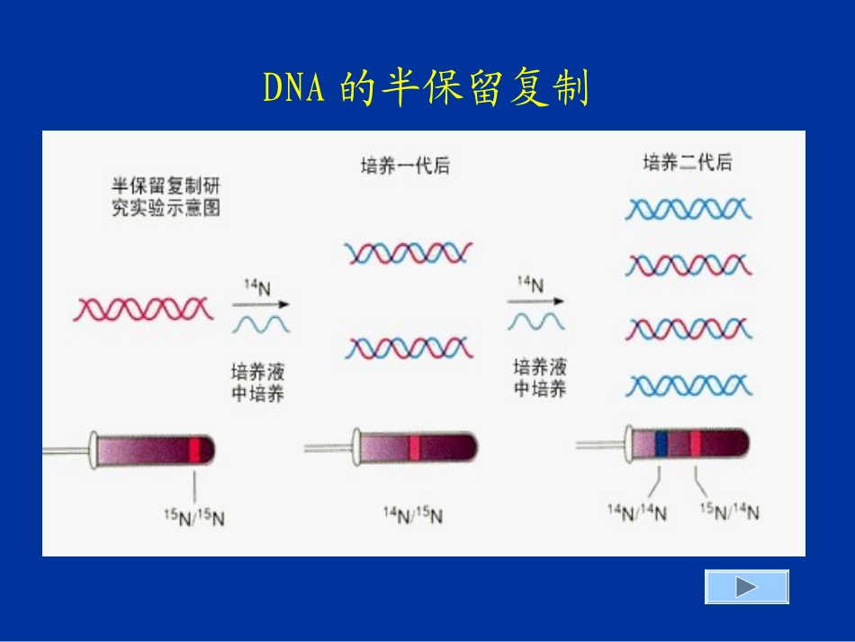 生命科学_第一章_组成生物体的大、小分子_第3页