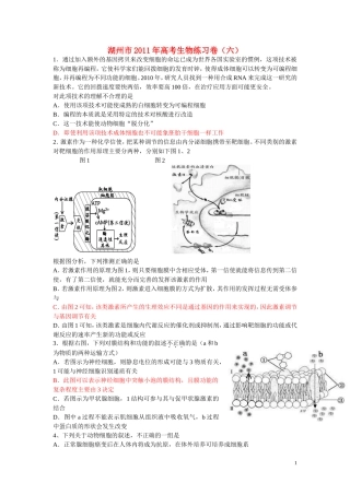 浙江省湖州市2011届高三生物练习卷之六浙科版
