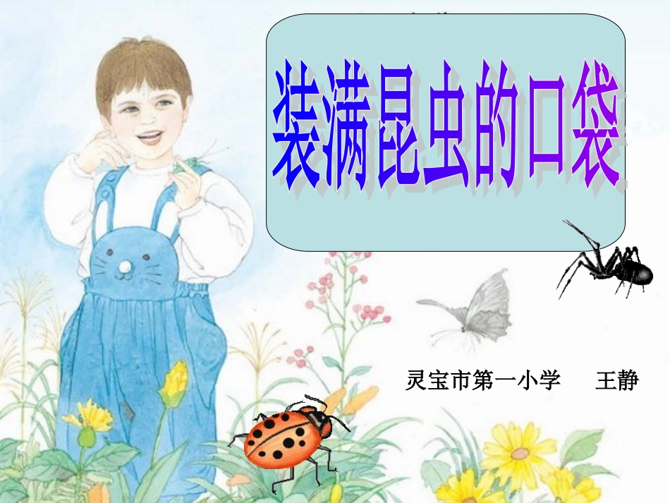 装满昆虫的口袋_第1页
