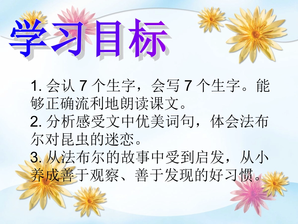 装满昆虫的口袋_第3页