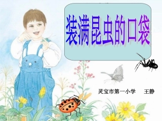 装满昆虫的口袋