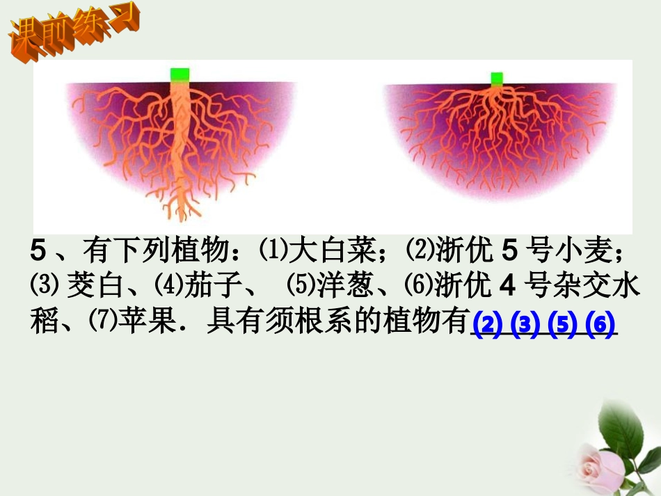 浙江省温州市平阳县腾蛟一中八年级科学下册-《3.3植物与土壤》课件二-浙教版_第3页
