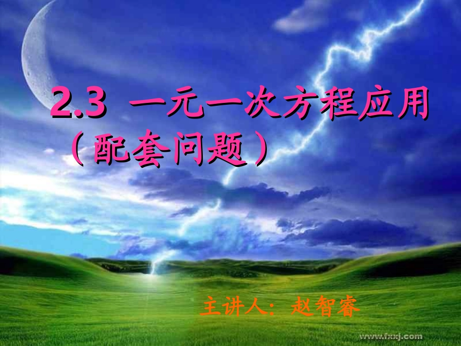 一元一次方程应用（配套问题）_第2页