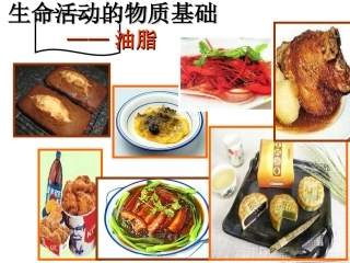 浙江省富阳市高二化学-油脂课件-新人教版