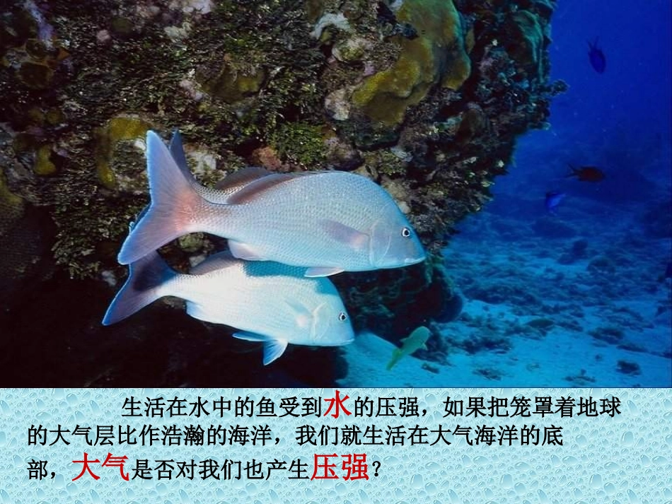 八年级物理大气压强_第2页