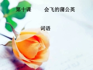 会飞的蒲公英课件