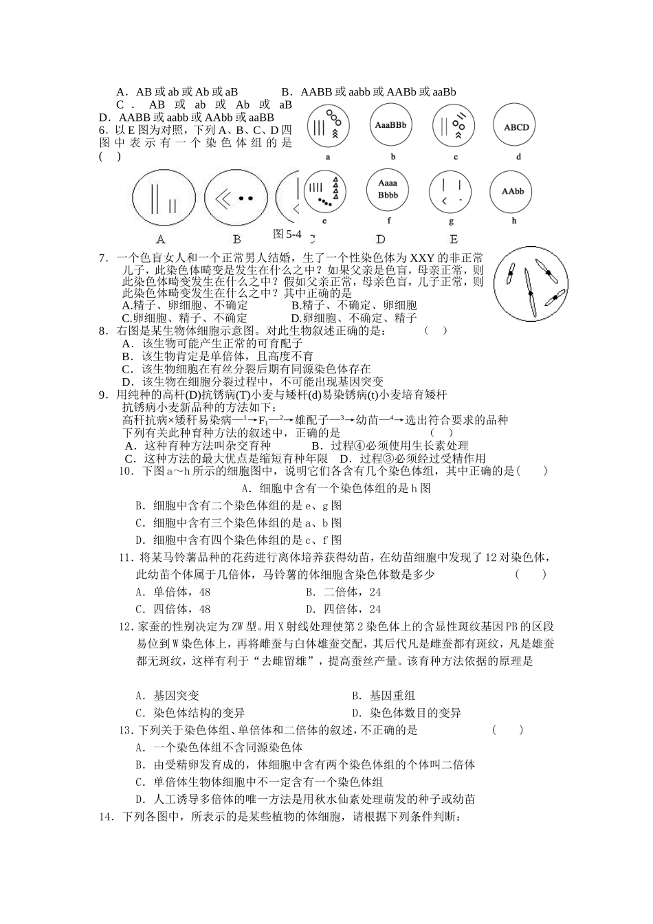 十一周导学案生物组曾联琴染色体变异_第3页