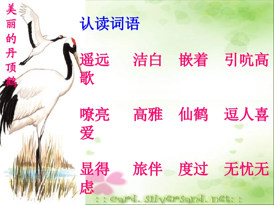 美丽的丹顶鹤 (2)_第3页
