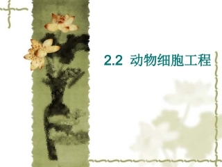 动物细胞工程2