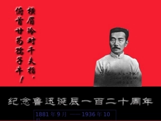《一面》课件pps