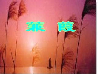 九年级语文下册-《蒹葭》教学课件-鲁教版