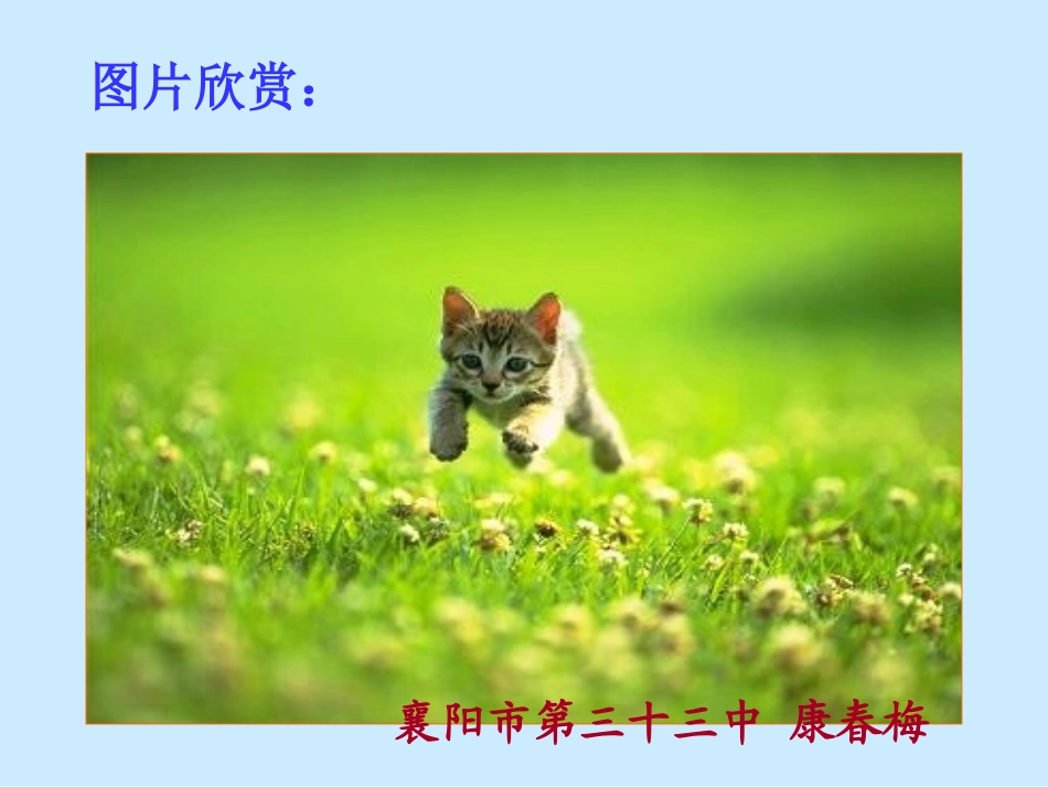 《猫》送课用课件_第1页