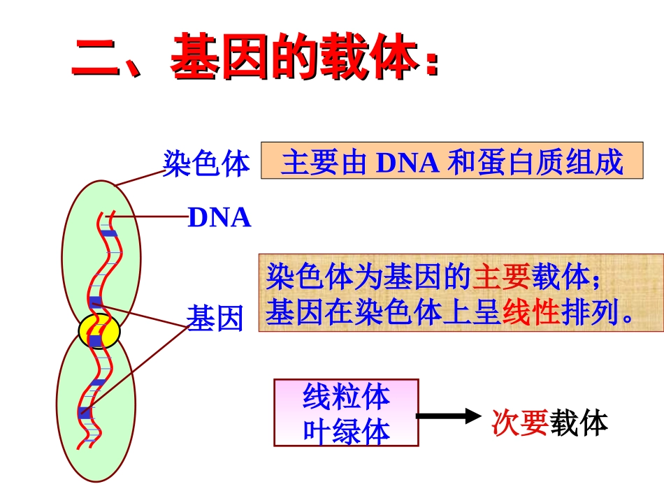 （高三视导课）基因的表达20141223_第3页