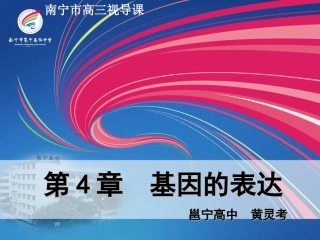 （高三视导课）基因的表达20141223