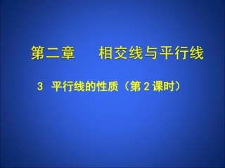 《平行线的性质（2）》参考课件2